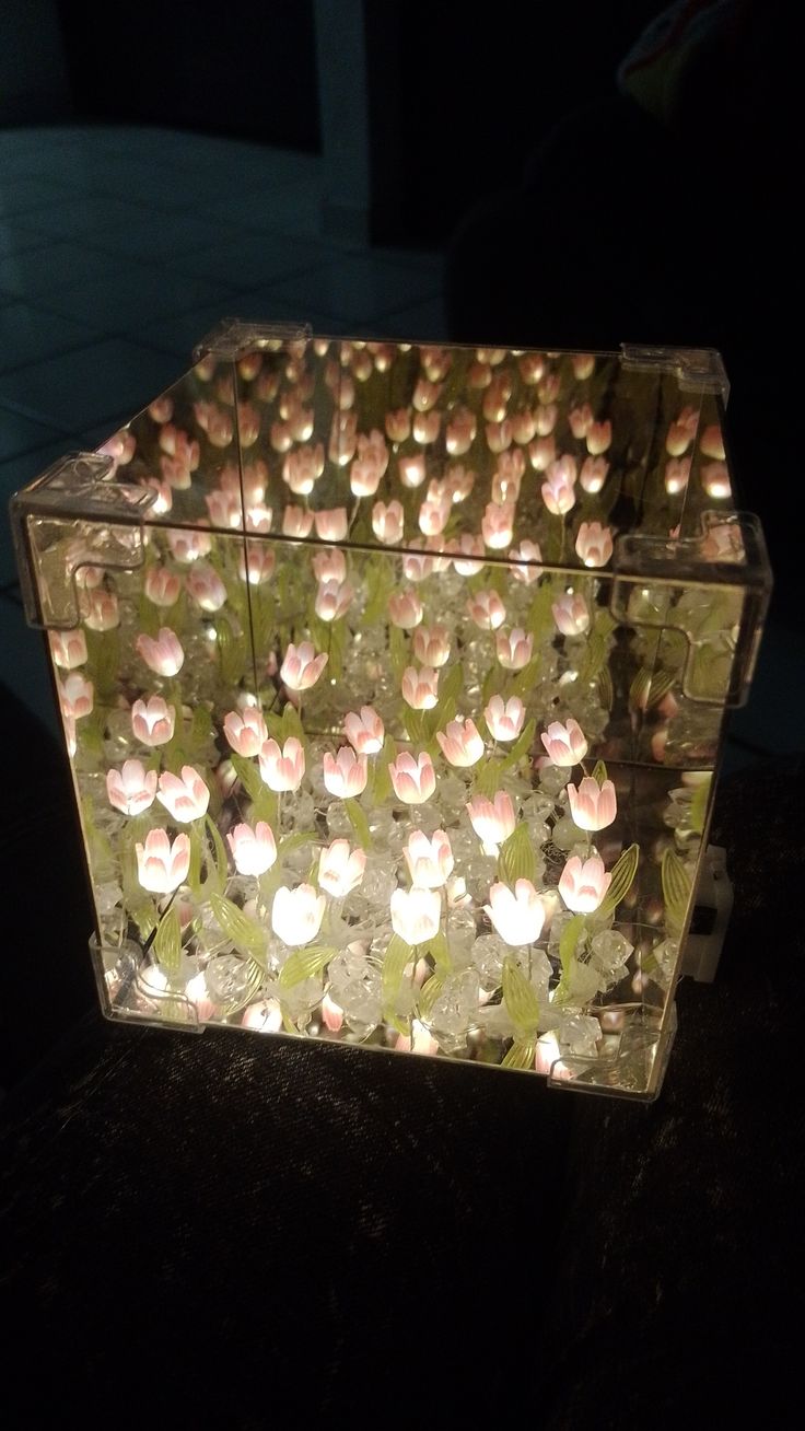 Jardín de Tulipanes Infinitos